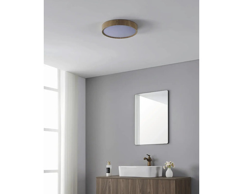 Baie cu plafonier rotund cu aspect de lemn, oglindă și lavoar