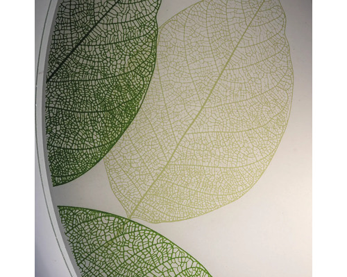 Frunze decorative pe o suprafață