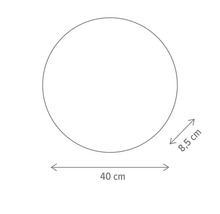 Imagine a unei forme rotunde cu dimensiunile de 40 cm în diametru și 8,5 cm în rază.