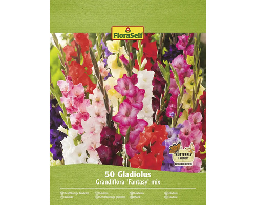 Bulbi de flori FloraSelf gladiole Fantasy mix 50 buc.