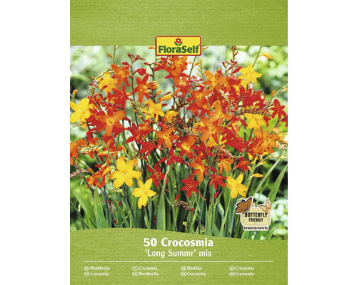 Bulbi de flori FloraSelf crocosmia Long Summer Mix 50 buc.