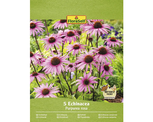 Bulbi de flori FloraSelf echinacea Purpurea roz 5 buc.