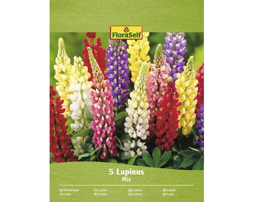 Bulbi de flori FloraSelf lupinus mix 5 buc.