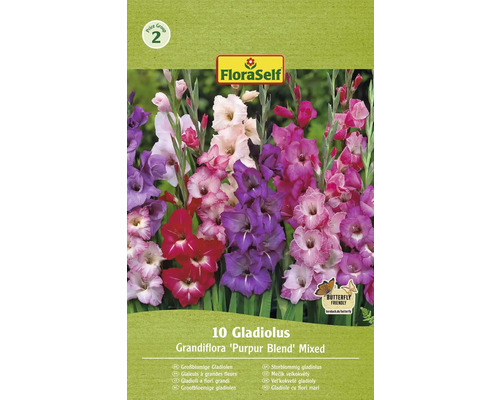 Bulbi de flori FloraSelf gladiole mix Purpur Blend 10 buc.