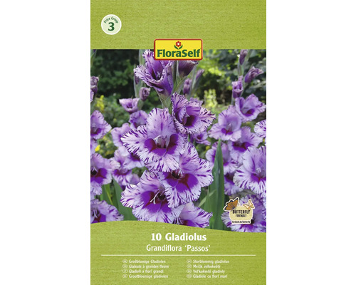 Bulbi de flori FloraSelf gladiole Passos 10 buc.