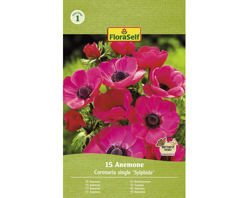 Bulbi de flori FloraSelf anemone Sylphide 15 buc.