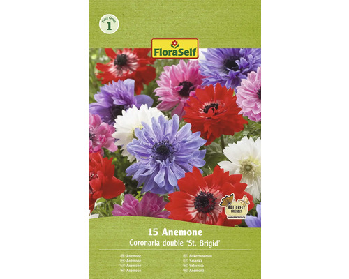 Bulbi de flori FloraSelf anemone amestec St. Brigid 15 buc.