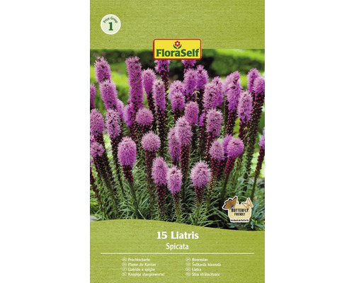 Bulbi de flori FloraSelf Liatris Spicata albastru 15 buc.