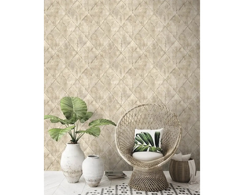 Cameră de zi cu tapet geometric, scaun de răchită și plante de interior în vaze