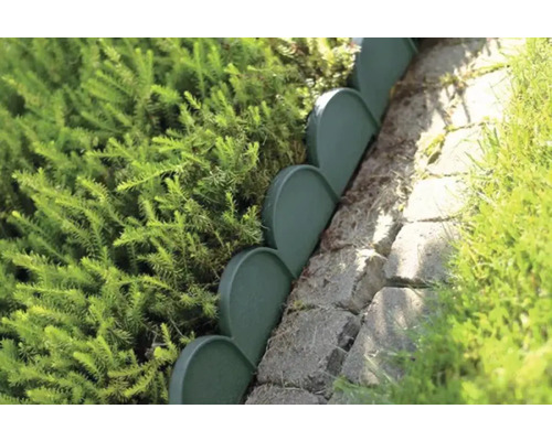 Scenă de grădină cu bordură de gazon și plante