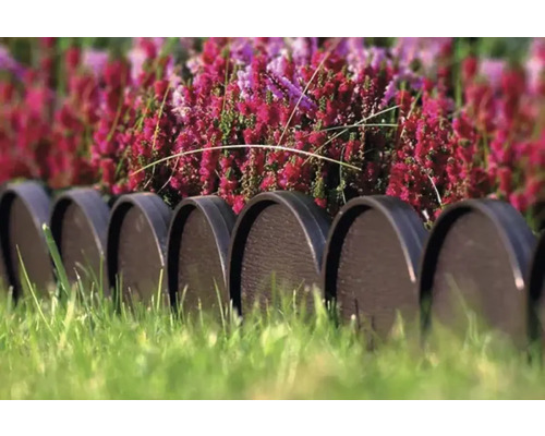 Grădină cu margine de gazon și flori în fundal