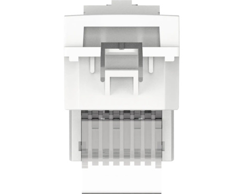 Priză date RJ45 simplă Himel CAT5e, 1 modul, alb | HORNBACH