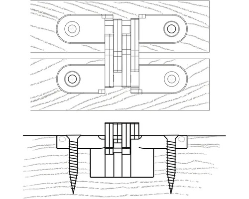 Desenul unei balamale de ușă pentru montare pe o ușă de lemn