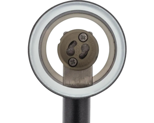 Imagine detaliată a unei dulii de lampă cu șuruburi