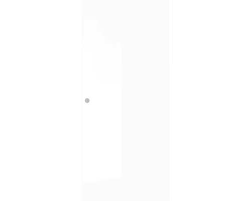 Ușă de sticlă cu clanță