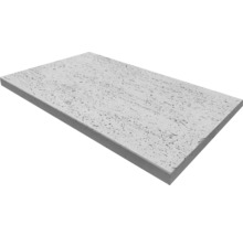 Placă de beton