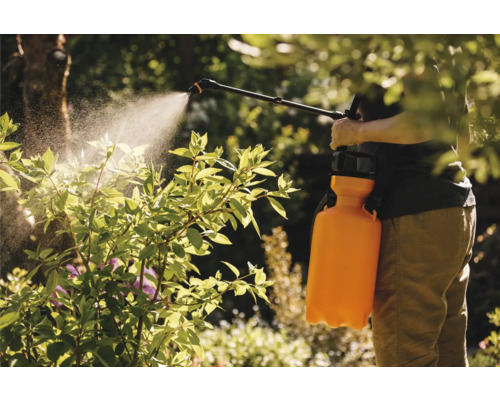 Grădinărit cu un pulverizator pentru protejarea plantelor