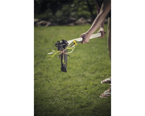 Persoană îndepărtând păpădia cu un dispozitiv de scos buruieni în grădină.