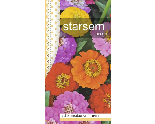 Semințe flori Starsem cârciumărese pitice mix buc