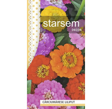 Pachet de semințe de flori Zinnia Liliput