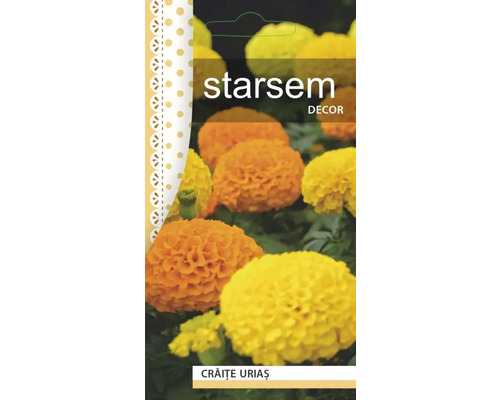 Semințe flori Starsem crăițe uriașe mix buc