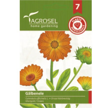 Semințe flori Agrosel gălbenele PG7