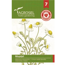 Semințe de mușețel Agrosel
