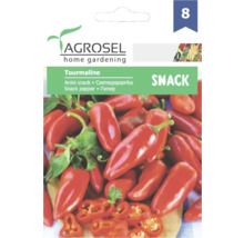 Semințe de legume Agrosel ardei roșu Tourmaline PG8