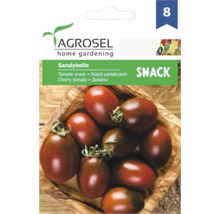 Semințe de legume Agrosel, tomate maro Sandybell PG8