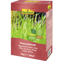 FloraSelf Power Supraînsămânțare pentru regenerare gazon pentru 60 metri pătrați
