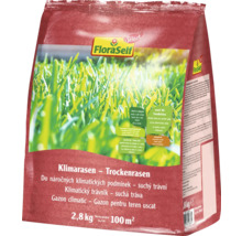 FloraSelf Klimarase gazon uscat, pachet de 2,8 kilograme