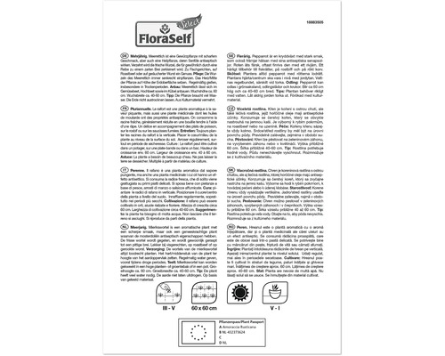 FloraSelf text informativ despre hrean