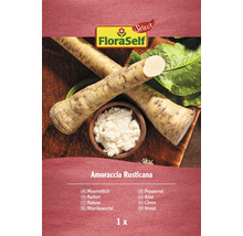 Plantă hrean FloraSelf