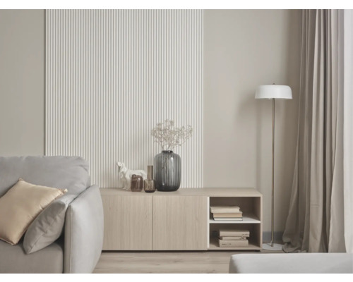 Living cu canapea, dulap, lampadar și elemente decorative pentru o atmosferă primitoare.