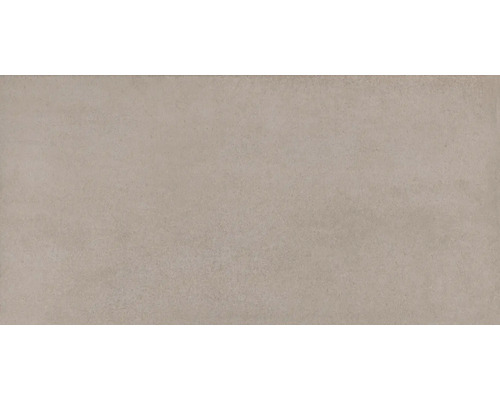 Faianță baie / bucătărie Visine gri 30x60 cm Placă de podea bej
