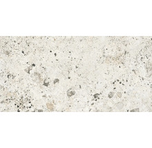 Prim-plan cu o placă de podea cu aspect de terrazzo