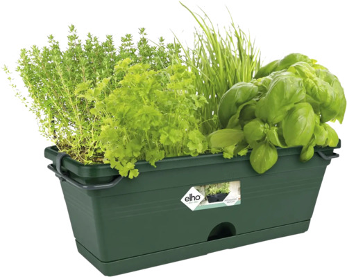 Jardinieră mini Elho cu farfurie plastic 29,5x18,5x15,5 cm | HORNBACH