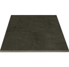 Model de faianță