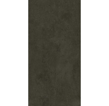 Placă ceramică cu aspect de beton