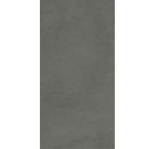 Faianta gri