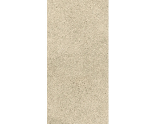 Placă de piatră naturală deschisă cu textură neregulată