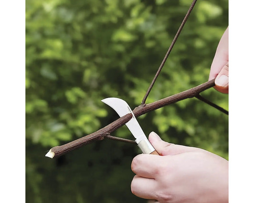 Persoană tăind o ramură cu foarfeca de grădinărit