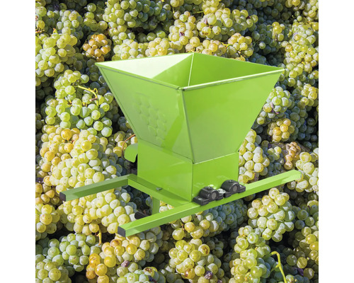 Moară de fructe de pădure pe un fundal de struguri