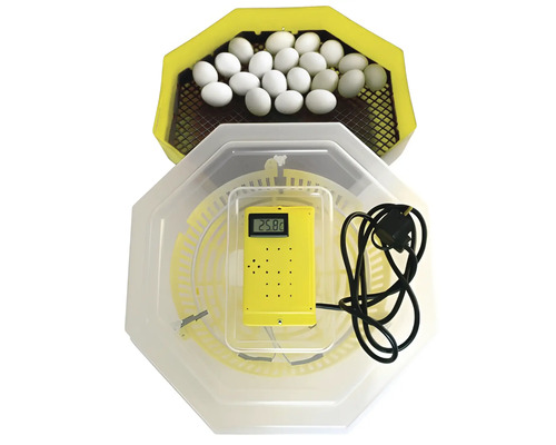 Incubator cu afișaj digital al temperaturii și ouă