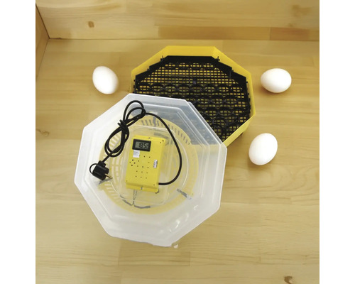 Incubator de ouă cu afișaj de temperatură și ouă