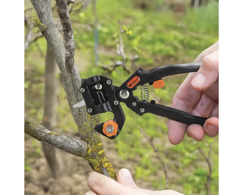 Unealtă de grădină pentru altoirea plantelor în acțiune