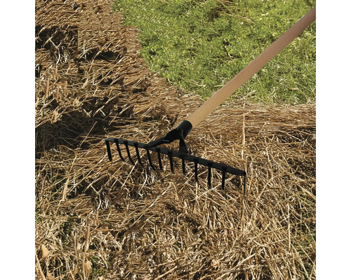 Greblă de grădină cu mâner de lemn utilizată pe un gazon cu iarbă uscată