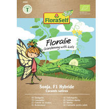 Pachet de semințe pentru castravete de salată Sonja, hibrid F1