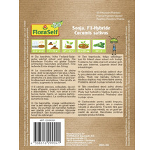 Pachet de semințe de castraveți hibrid Sonja F1 pentru castraveți de salată de câmp