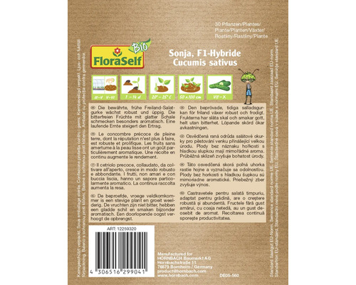 Pachet de semințe de castraveți hibrid Sonja F1 pentru castraveți de salată de câmp